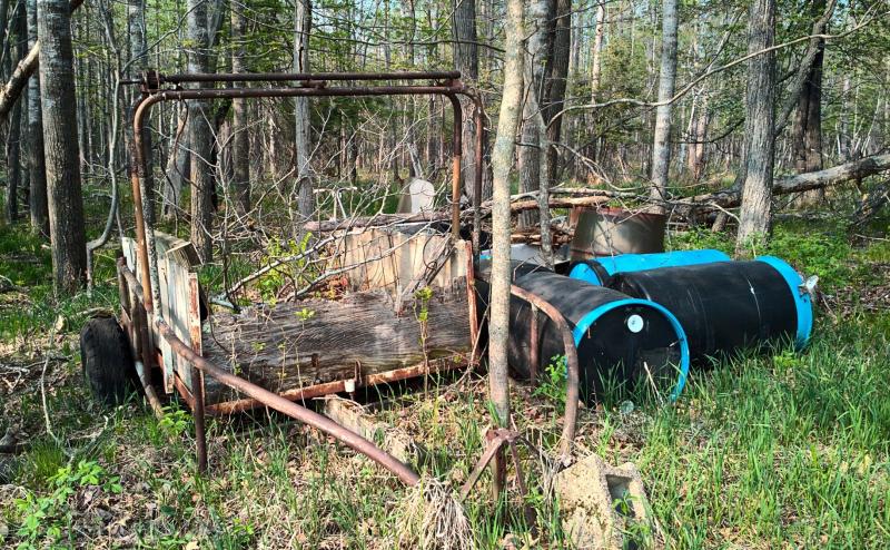 On old trailer in the woods with weeds growing up around it and inside the wagon bed. Several plastic blue barrels lie alongside it.