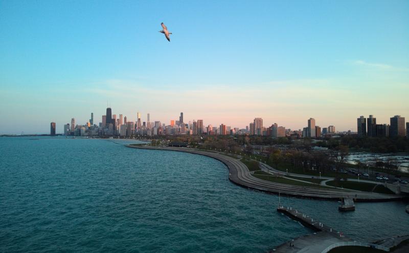 Aerial photo of downtown Chicago from several miles north along the shoreline. Clean blue sky with a bird soaring above the city in the foreground.