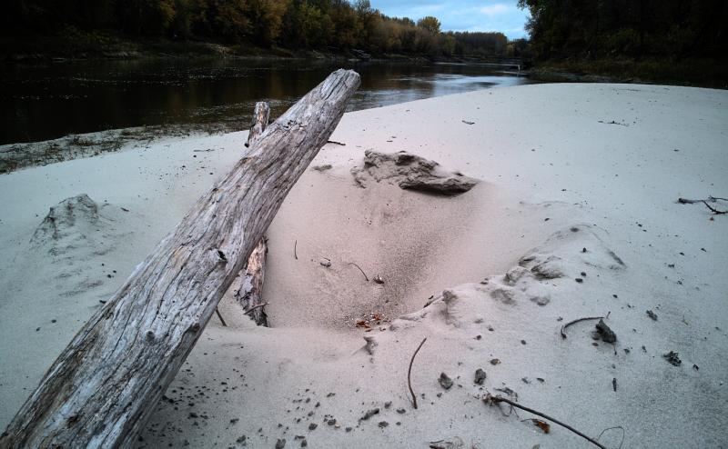 Looking down river from just above a bleached white sand bar. Centered in image is a highly weathered log protruding from the sand.