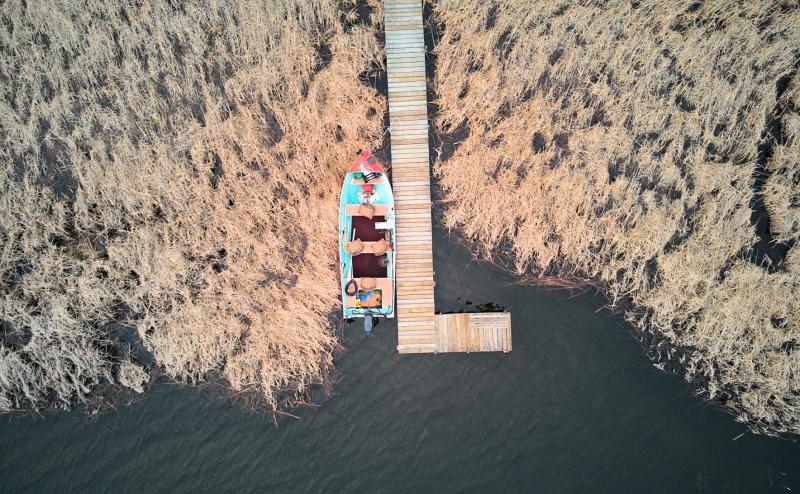 Looking straight down on a patch of brown swamp grass along the edge of a lake. A wooden dock cuts through the middle of the swamp grass. Along the left edge of the dock is a fishing boat with seat pads, life jackets, and motor - but no people. 