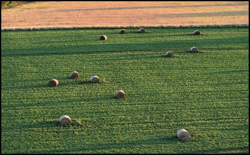 Aerial view of some large round bales of hale casting a shadow across a shortly cut green field. In the background is an uncut field of taller brown hay. 