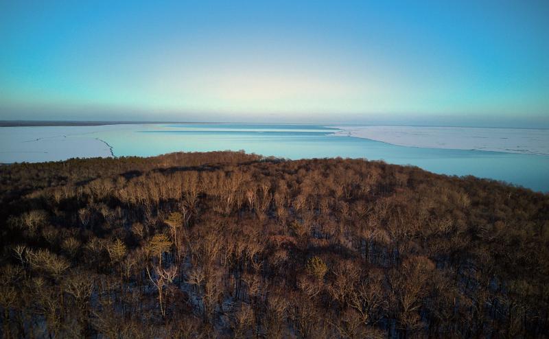 Forest of bare brown trees in foreground. In background we see a very large lake cover with ice on left and right, but a strip of open water in the middle.