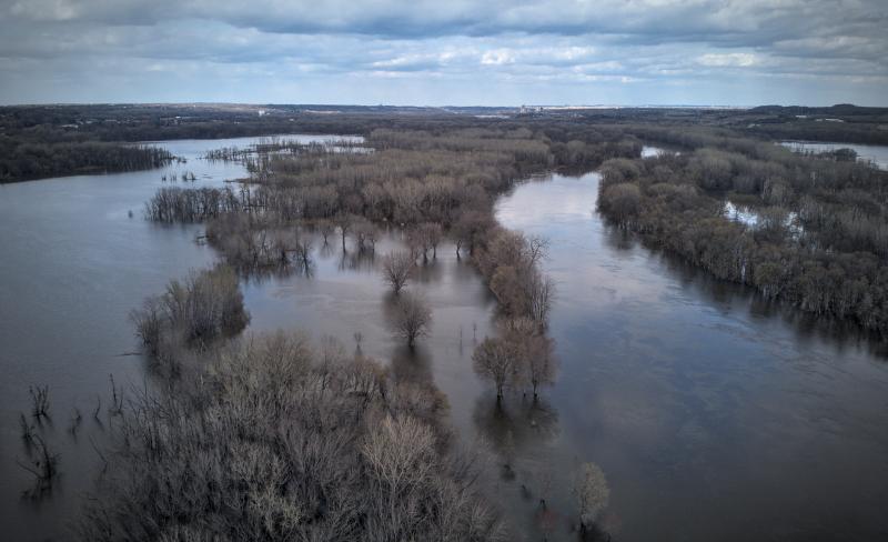 Aerial photo taken over the Minnesota River. Two channels of river visible with many trees underwater between them. Widespread flooding. Trees are still bare, without any leaves.