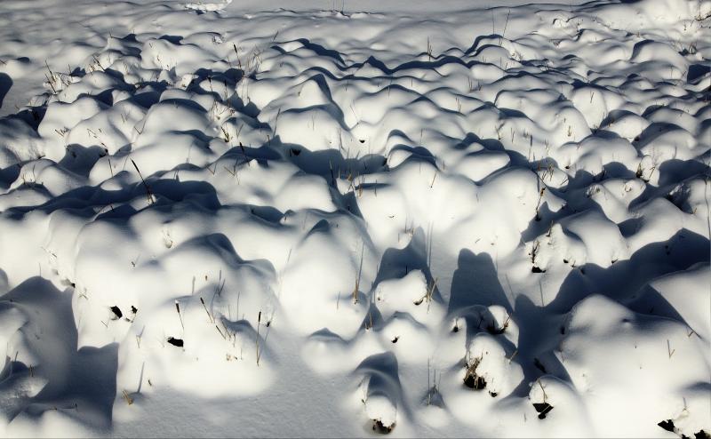 Close up of a patch of snow that appears bubbly or the texture of popcorn, with individual kernals casting dark shadows.