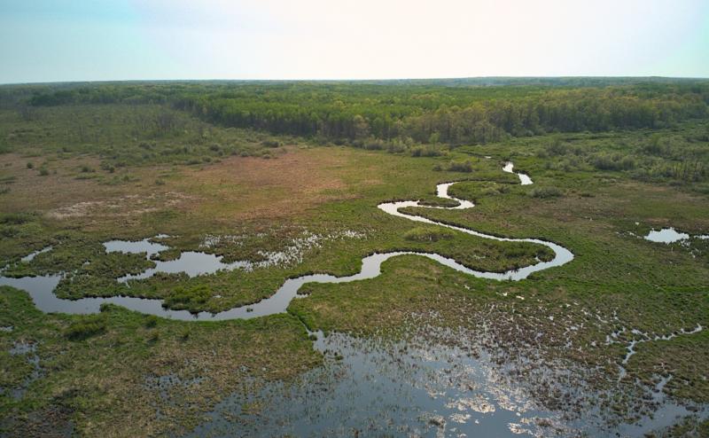 Aerial view of a narrow river winding a path through a large swamp. Forest in the background and swampy lake in the forground. 