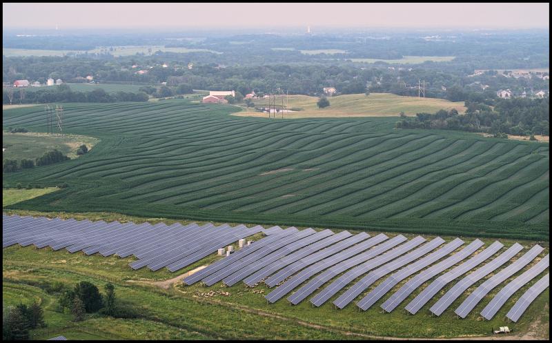 Aerial view of a field of solar panels sitting along side a corn field. 