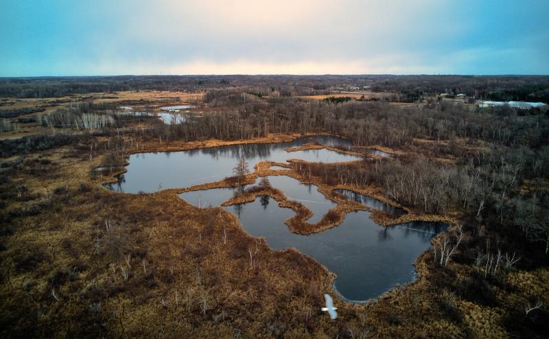 Aerial view of open water in the middle of a swamp, with zig zaggy strips of vegitation  dividing pond into small sections.