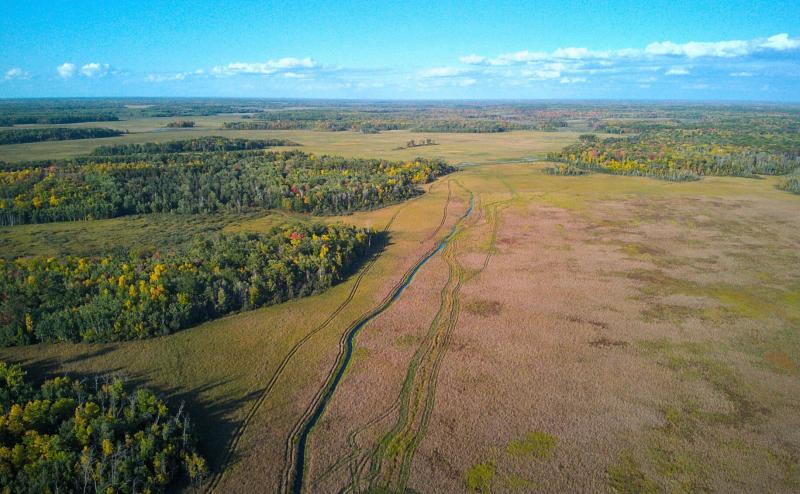 Aerial photo of a large swamp with patches of forest that are just showing signs of fall colors. In the swamp is a long creek with several sets of vehical tracks running along the creek. Sky is mostly blue with scattered clouds.