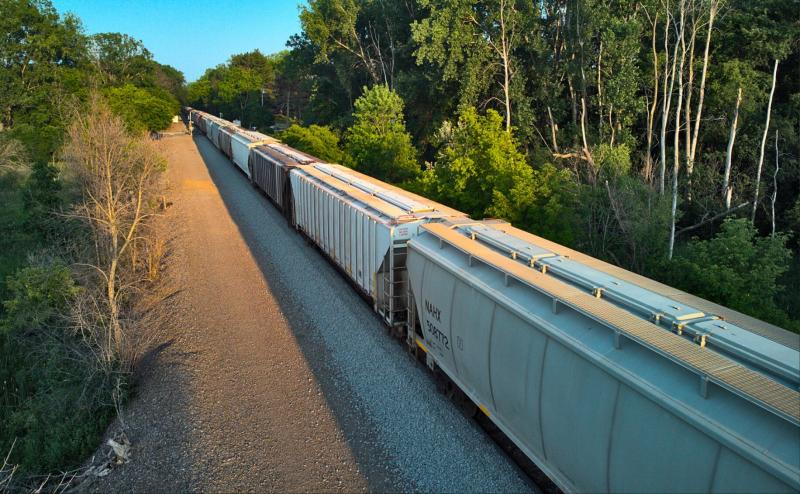 Photo looking slightly down at a train from a position very close to the tracks. Trees line the tracks on either side. Train cars stretch off into the distance.